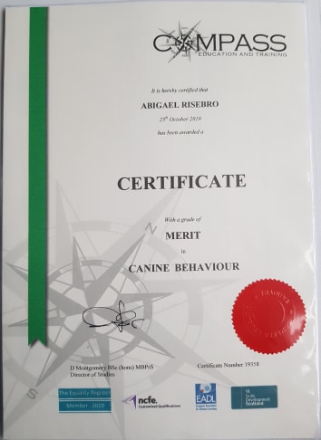NCFE Dog Behaviour Certificate 2019