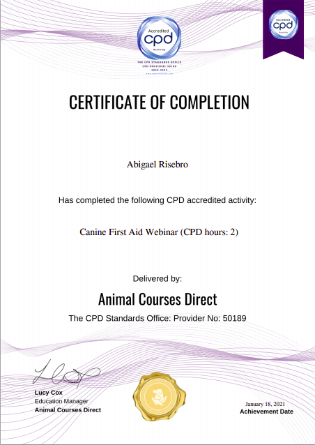 CPD Certificate in Canine First Aid 2021