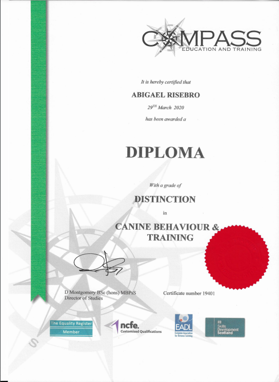 NCFE Dog Behaviour & Training Diploma 2020